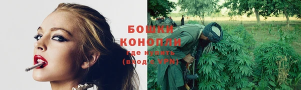 молекула духа Белоозёрский