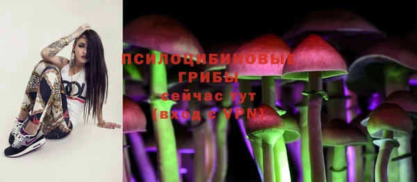 молекула духа Белоозёрский