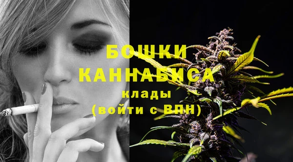 молекула духа Белоозёрский